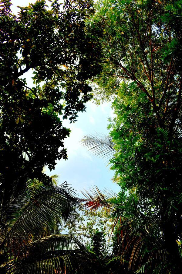 Villa Tulip Garden Anuradhapura Exterior foto